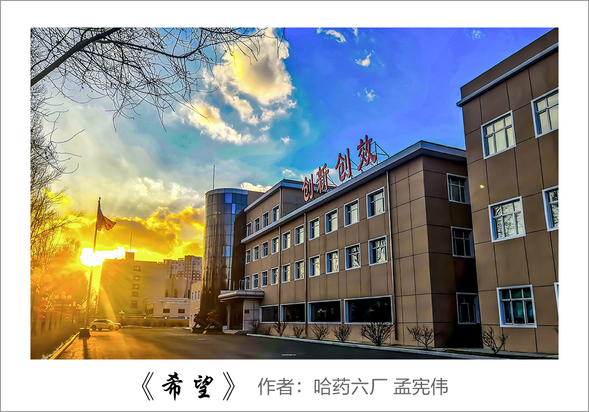 【迎国庆 展风采】我眼中的千亿国际——职工摄影大赛作品展示！